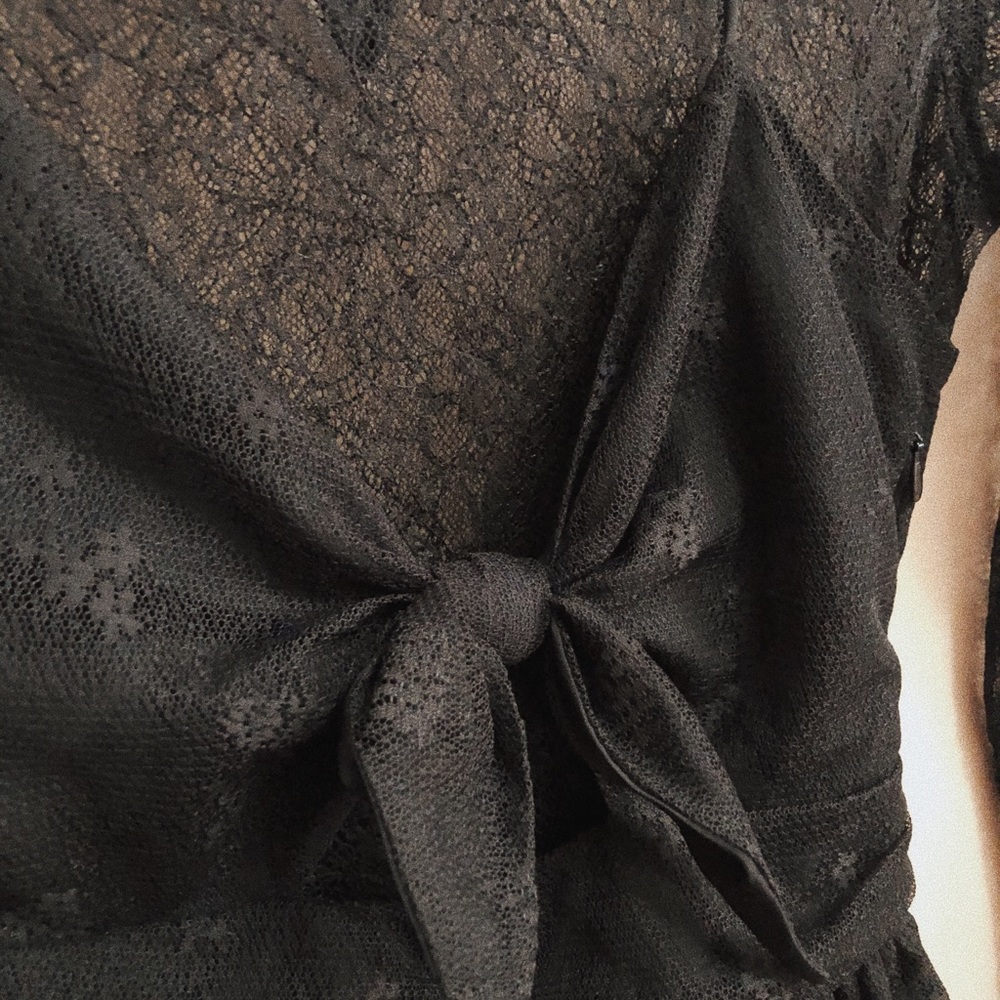 Zara sheer dress
